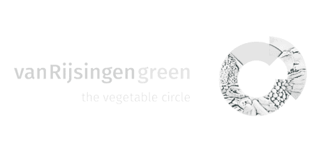 logo_logo_van_rijsingen_green_grijs