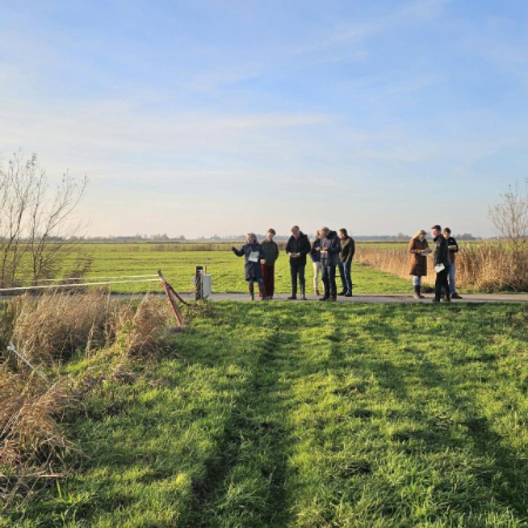 Natuurherstel en klimaat, biodiversiteit en training natuurinclusief werken